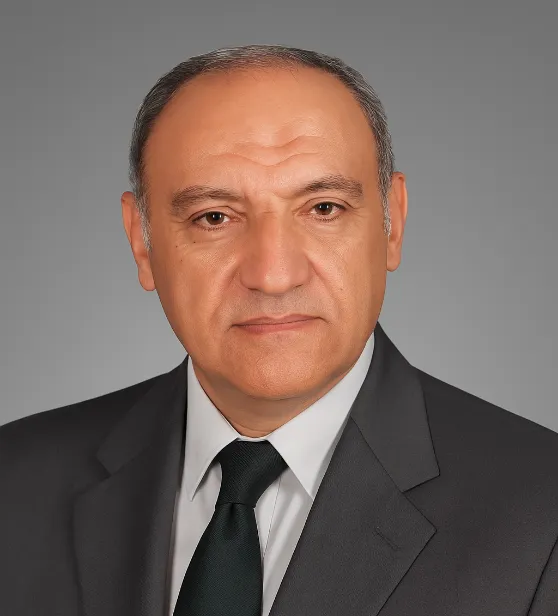 HEngr. Hani Mostafa